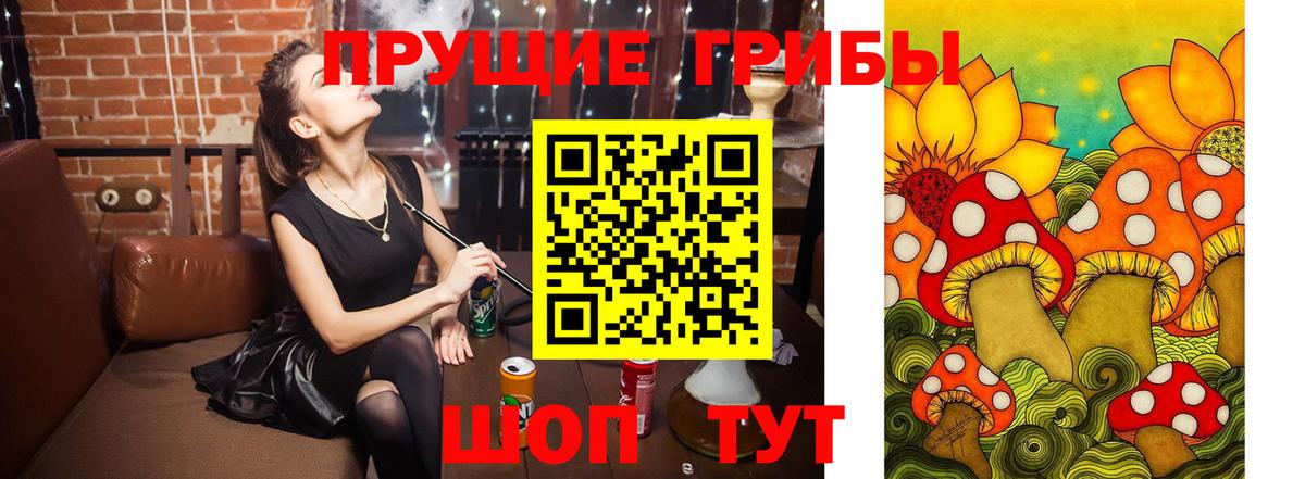 Галлюциногенные грибы мухоморы  Псилоцибиновые грибы Psilocybine cubensis  Вход с VPN  Биробиджан 